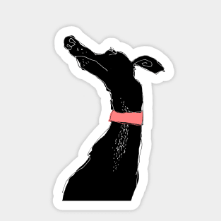 pink collar Sticker